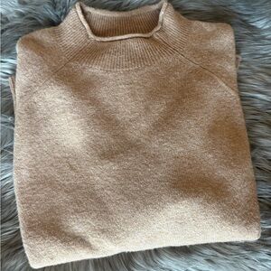 J. Crew Super Soft Classic Roll Neck Sweater